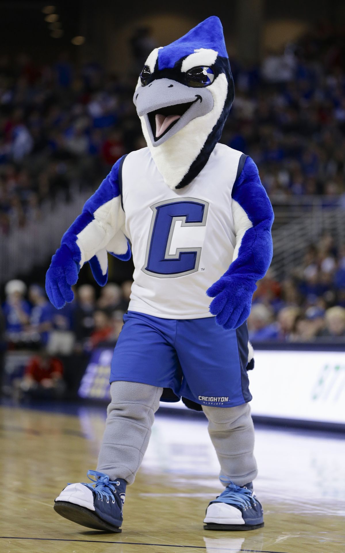 Creighton University Jerseys, Creighton Bluejays Football Uniforms