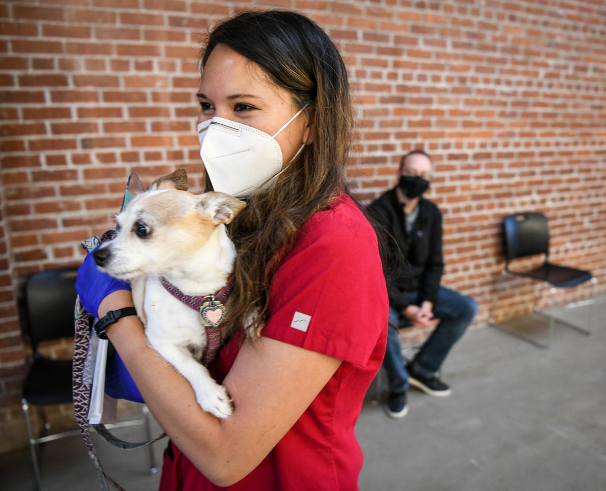 WSU Vet student Vanessa Ung carries away Iris, belonging to Andrew Wilson, right, after he brought the dog into the WSU College of Nursing and WSU College of Veterinary Medicine Healthy People + Healthy Pets free health care clinic, Wednesday, Oct. 6, 2021, at 412 E. Spokane Falls Boulevard in Spokane.Iris was suffering from a rear leg problem.  (Dan Pelle/THESPOKESMAN-REVIEW)