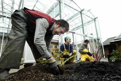 
Neal Bonham, left, Bridget Lamp, center, and Lou Stubecki transplant new plants in front of the new Merrill Hall at the Center for Urban Horticulture on the University of Washington's Seattle campus on Tuesday.
 (Associated Press / The Spokesman-Review)