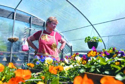 
Barbara Arnold stands in a greenhouse Tuesday at her home where she is preparing for Saturday's opening of Kootenai County Farmers' Market. 
 (Photos by Jesse Tinsley / The Spokesman-Review)