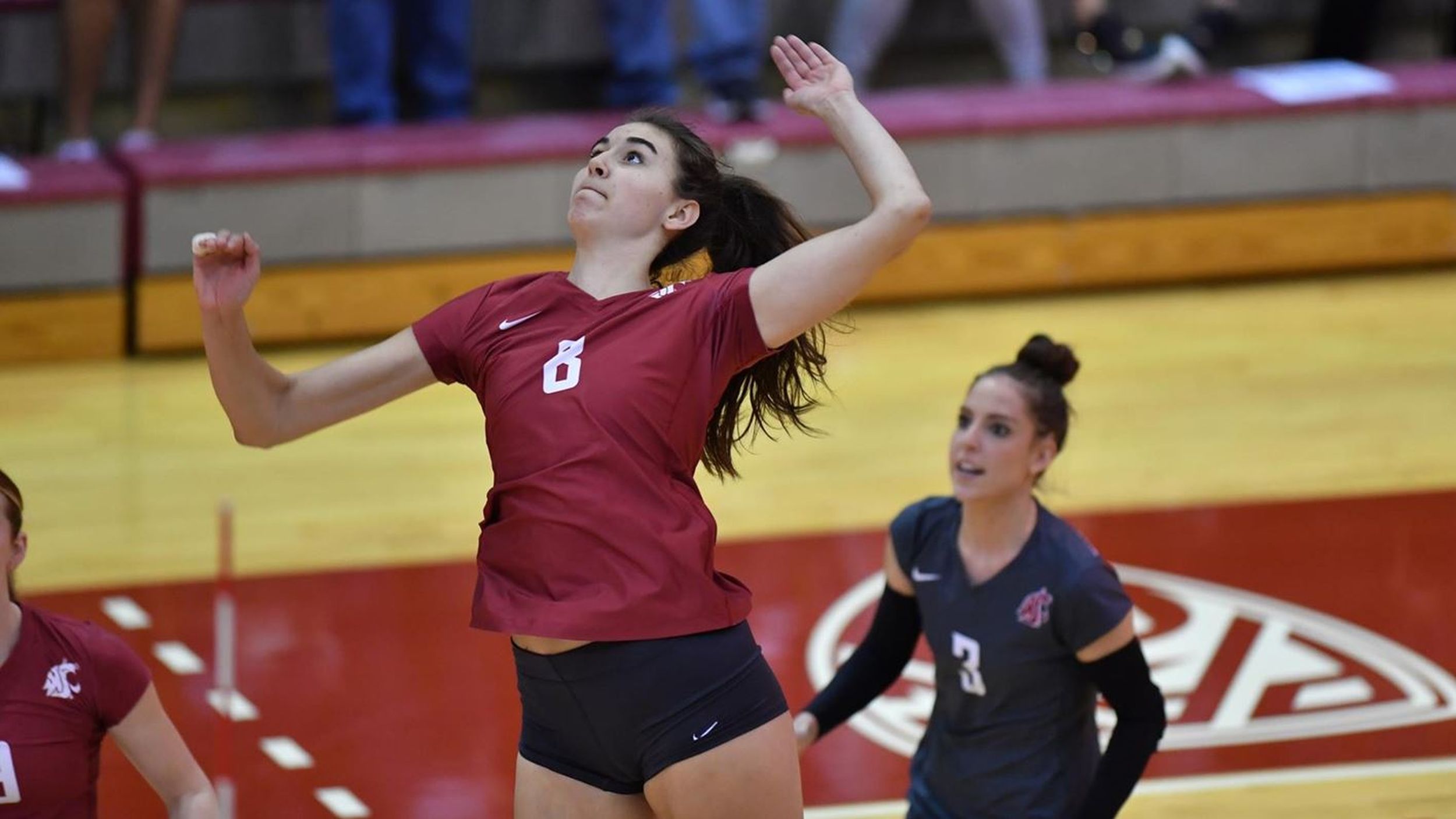 Locally: Washington State volleyball's Katy Ryan chosen for U21 U.S ...