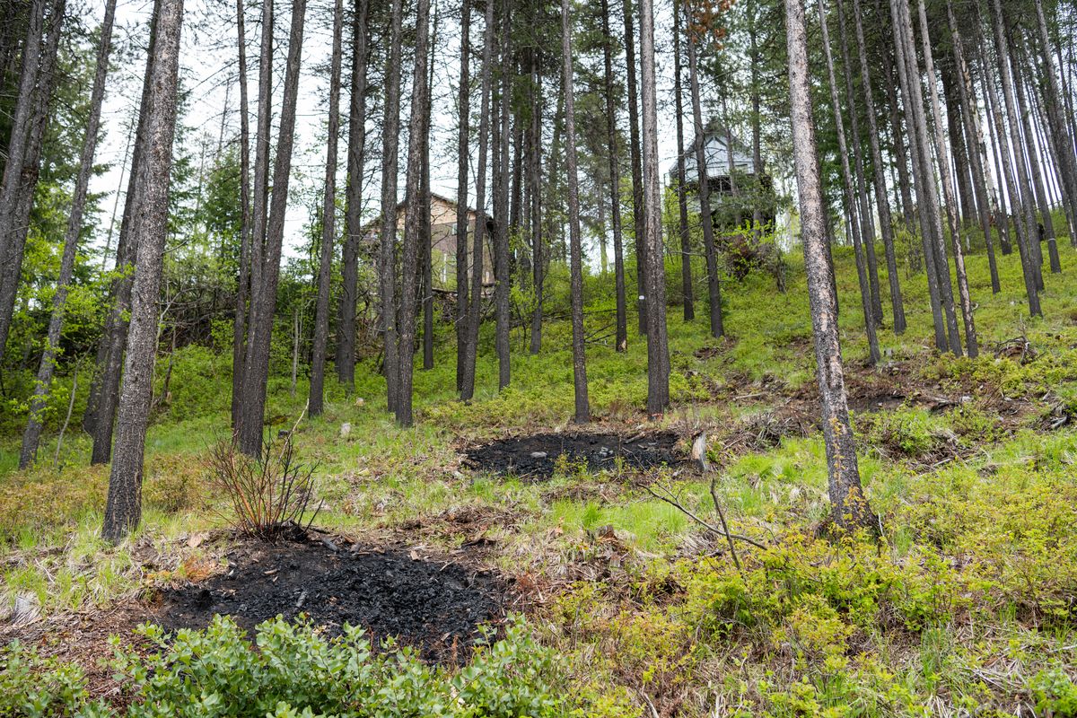 A view from the lower undeveloped part of the Flowery Trail neighborhood outside Chewelah shows evidence of slash piles that have been burned.  (Erick Doxey)