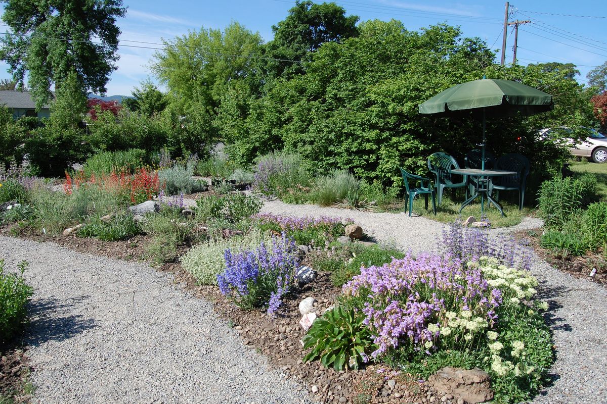 Desert Jewels Nursery in Spokane specializes in native plants and offering guidance on creating gardens and landscaping requiring little irrigation. This photo is of a 