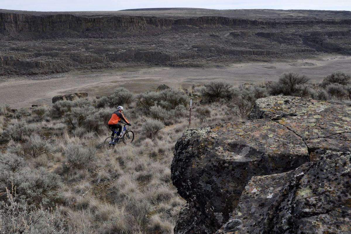 Mountain biker Steve Weinberger follows the trail markers on a single-track section through a basalt-lined canyon on the Odessa-Pacific Lake Trail near Odessa, Wash. Bobs Lakes in the bottom have been mostly dry for years. (Rich Landers)