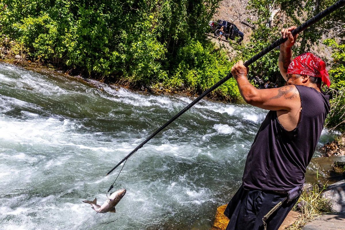 Virgil Holt Jr. pulls in a spring chinook he gaffed recently on Rapid River near Riggins.  (August Frank/Lewiston Tribune)