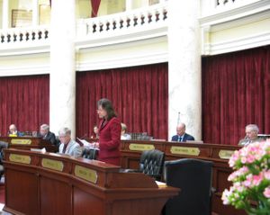 Sen. Sheryl Nuxoll, R-Cottonwood, argues for her Bible-in-schools bill in the Idaho Senate on Monday (Betsy Z. Russell)