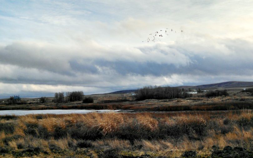 A 150-acre addition to the Reardan Audubon Lake Wildlife Area has been secured by the Inland Northwest Land Trust. (Catherine Greer / Inland Northwest Land Trust)