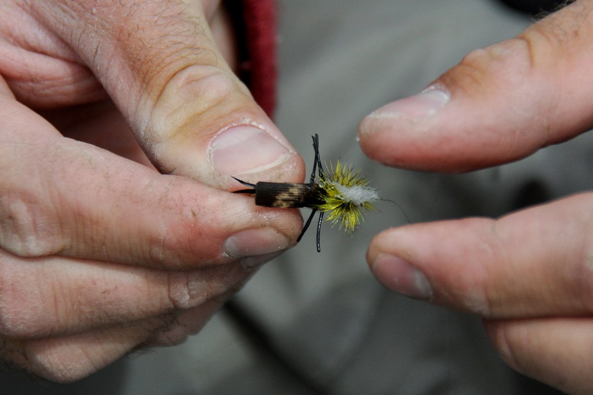 A Skwalameister dry-fly pattern is a highly visible imitation of the adult skwala stonefly. (Rich Landers)