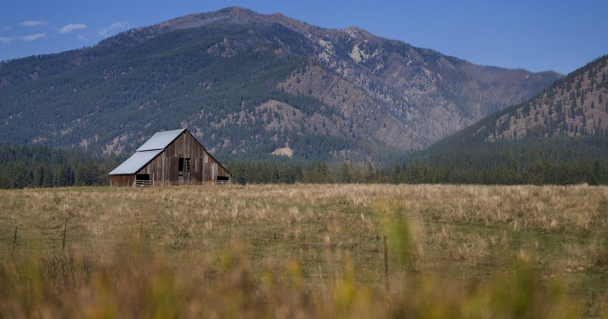 Backroads and byways: Time is all we have, one road trip to Bigfork, Montana, goes to show