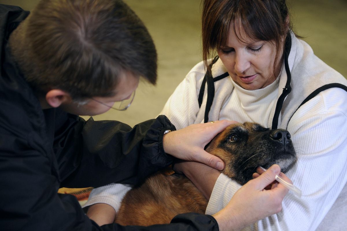 Paw Print Genetics CEO and co-founder Lisa Shaffer founded the company in 2012. The company has outgrown its current location and will move to the Franklin Park Medical Center. (Colin Mulvany / The Spokesman-Review)