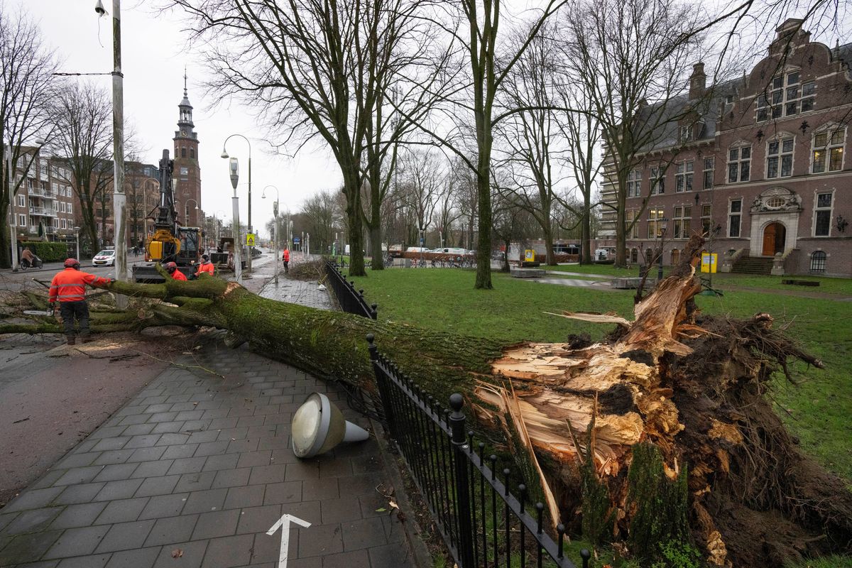 Workers remove an uprooted tree in Amsterdam, Netherlands, Monday, Jan. 31, 2022, after a storm swept over the Netherlands. (Peter Dejong)