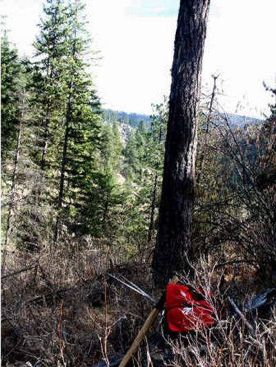 
This photo shows Marie Creek Overlook a the 1-mile point. 
 (M.D. Kincaid/Handle Extra / The Spokesman-Review)