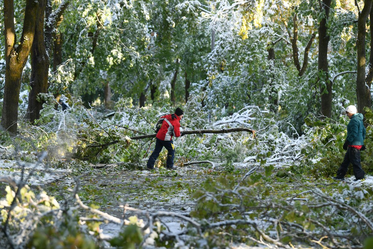 Chris Duff, center, drags a large branch off of Manito Boulevard Wednesday, Oct. 9, 2019. Heavy wet snow overnight brought down trees and branches around the region. At right is Duff’s mother, Carol Duff, who is visiting from Georgia. (Jesse Tinsley / The Spokesman-Review)