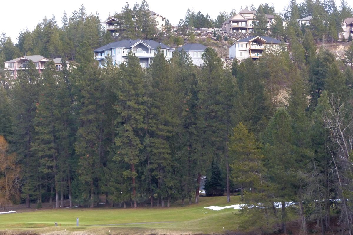 Present day: Luxury homes with views of the Wandermere Golf Course line the bluff on the south side of the course. In the 1930s, part of the slope was turned into a 700-foot ski jumping hill for the  spectacle of competitions. (Jesse Tinsley / The Spokesman-Review)