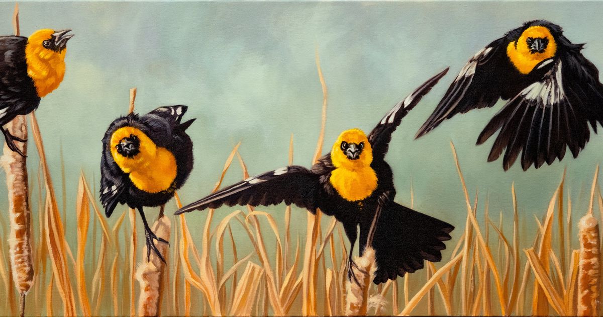 The Spokesman-Review: In a full circle moment, artist Sheila Evans takes first place at ArtFest 2022