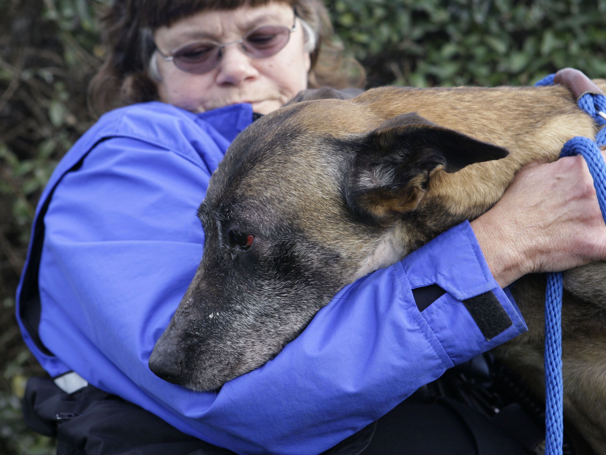 Man Charged In Slaying Of West Side Dog Trainer The Spokesman Review