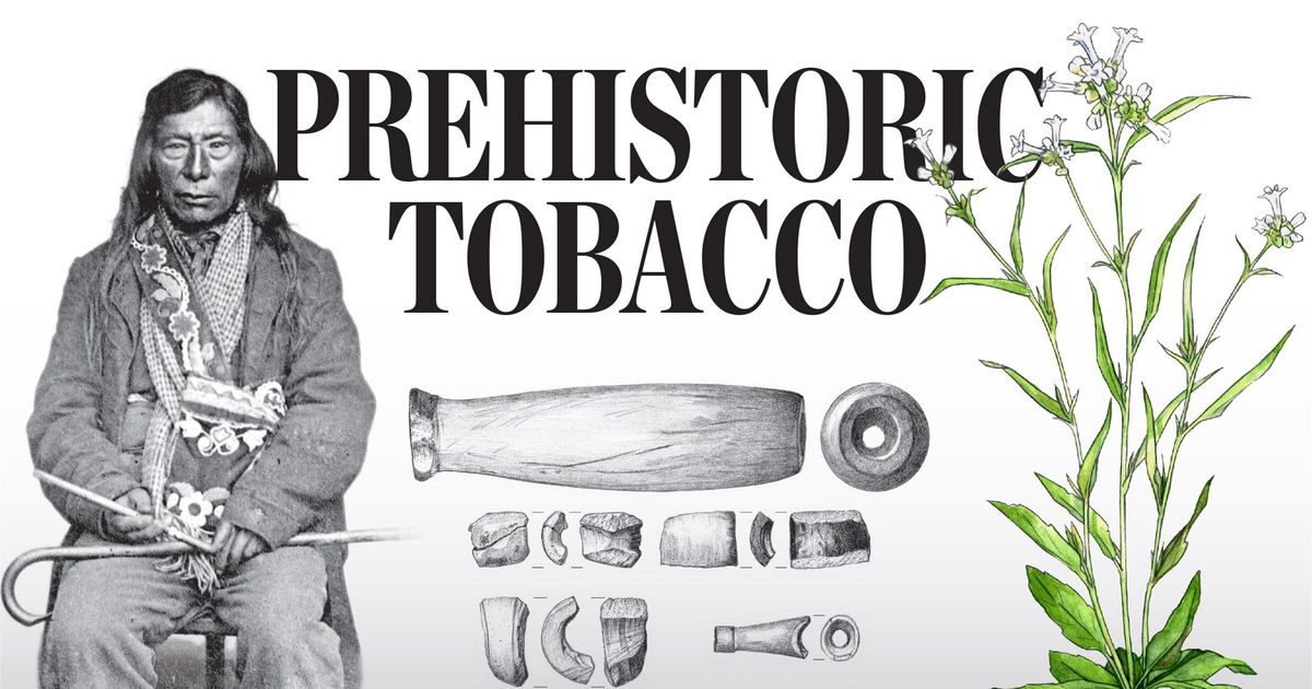 the history of tobacco History of the appearance of tobacco