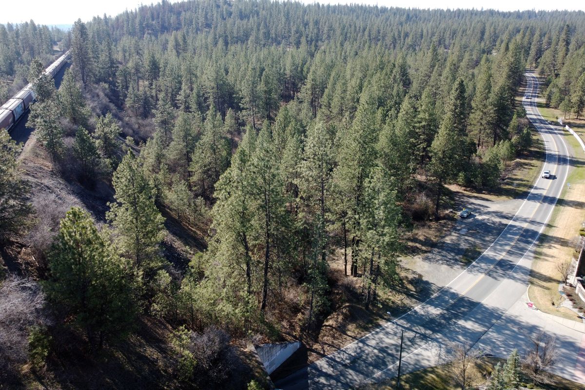 Looking southwest - Conservationists hope to stop as many as 1,000 homes from being built on this undeveloped land, to the left of Thorpe Road, right, and west of the railroad tracks south of Spokane. Shown Wednesday, March 20, 2024.  (Jesse Tinsley/THE SPOKESMAN-REVIEW)