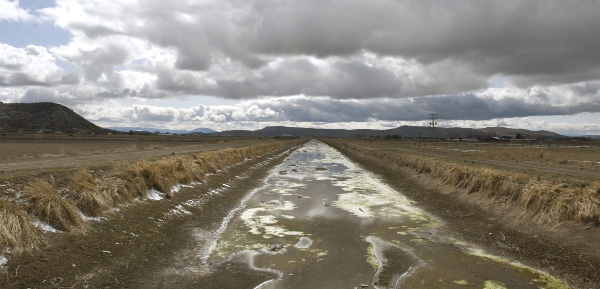 An irrigation canal stands dry on the Klamath Reclamation Project near Klamath Falls, Ore., on March 10.  (Associated Press)