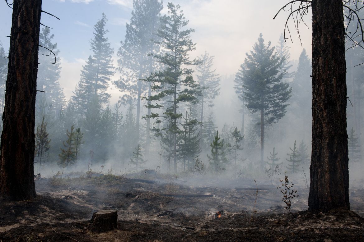 Carlton Complex Fire reaches Twisp - A picture story at The Spokesman ...