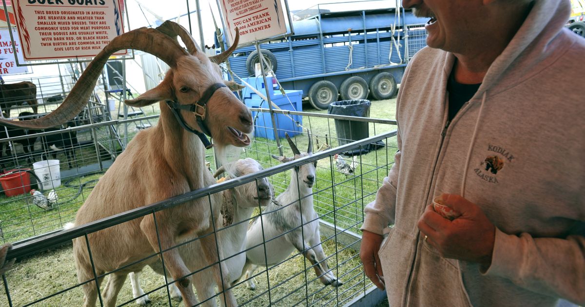 Washington State University veterinary school changes euthanasia curriculum, citing threats