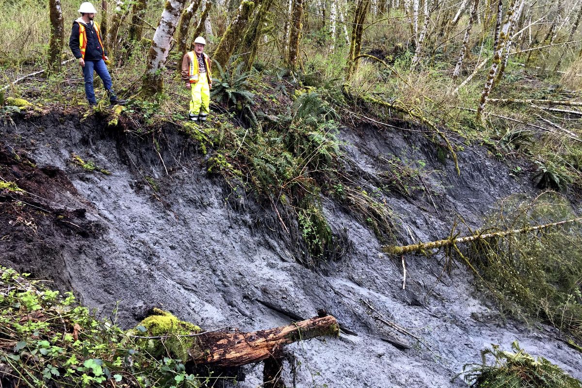 This April 8, 2017, photo provided by the Washington state Department of Natural Resources shows state geologist Dave Norman, right, and geotechnical engineer Gabe Taylor inspecting the head scarp of a landslide on state Route 530 near the town of Oso in northwestern Washington. (Associated Press)