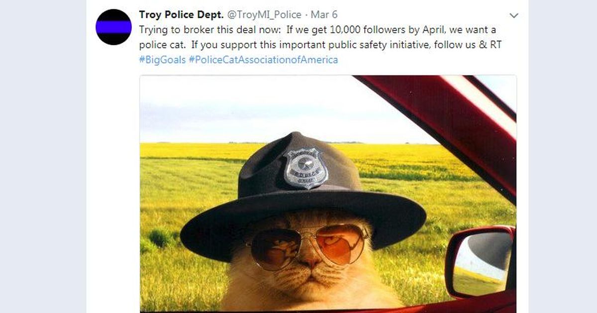 10K: Troy Police Department to get police cat