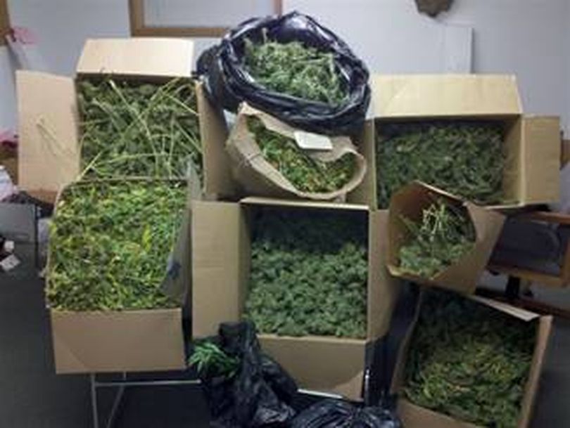 This is a portion of what investigators estimate to be 20 pounds of marijuana seized in Bonner County on Oct. 13, 2010. (Bonner County Sheriff's Office)