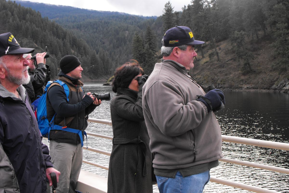 Paul Caraway, served in World War II with the SeaBees – a branch of the US Navy; Brendan Bersey, current Active Duty with the US Army; Mariah Henry, retired US Air Force and Gary Henry, served with US Air Force.   They are spotting eagles on the south side of Beauty Bay during the afternoon Veterans Eagle Watch Cruise co-sponsored by the Bureau of Land Management and Idaho Fish and Game.
 (Courtesy)