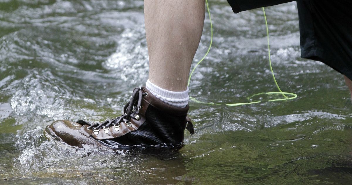 felt wading shoes banned