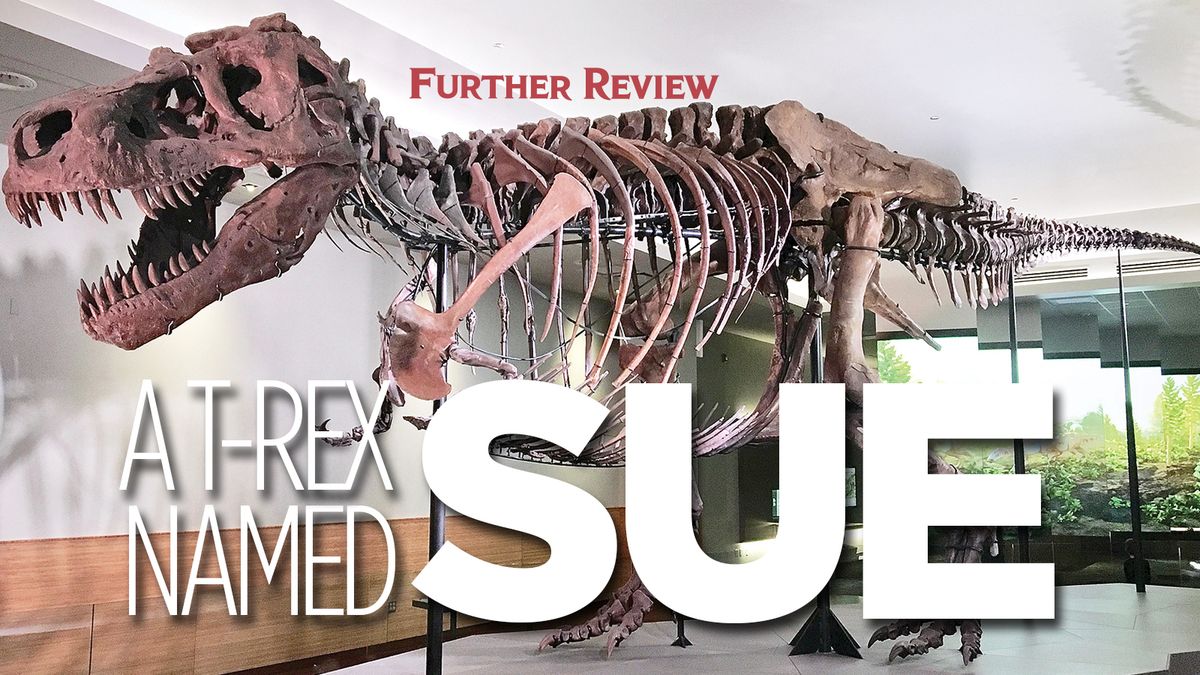 sue t rex discovery