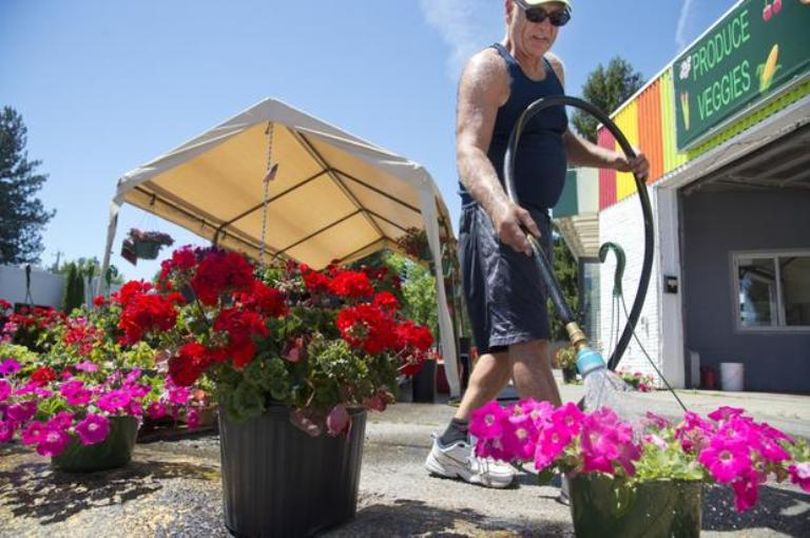 Wayne Harmon, owner of Coeur d’Alene Farms on the corner of 15th Street and Sherman Avenue, takes care of his plants on a hot June afternoon. The city is talking about possible improvements to beautify the street and draw more business and traffic to this stretch east of downtown. (Jesse Tinsley)