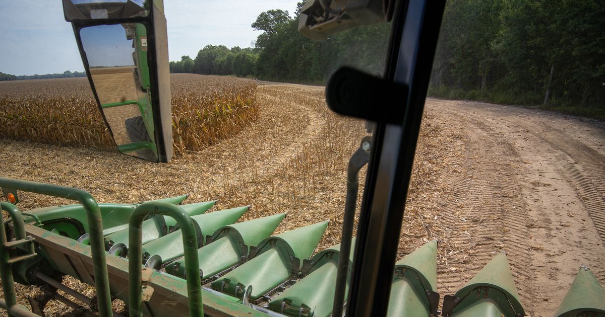American farmers shun USDA surveys as trust in data erodes