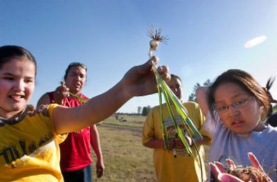 
Eleven-year-old Vanessa SiJohn, left, compares her onion to the  bulb that Jaycee Goudy-Swan, 14,  has dug from the ground near Cheney on Thursday. 
 (Kathryn Stevens / The Spokesman-Review)