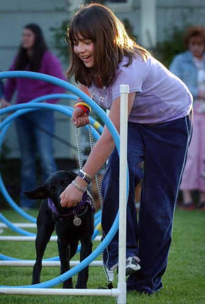 
Allie Gilmore, 12, works with her dog Mandy through the obstacle course during the Diamonds in the Ruff puppy class. Animal trainer Lisa Lucas says there are some basic do's and don'ts for children interacting with pets, including children participating in care training and not letting children hug dogs around the neck. 
 (Liz Kishimoto / The Spokesman-Review)