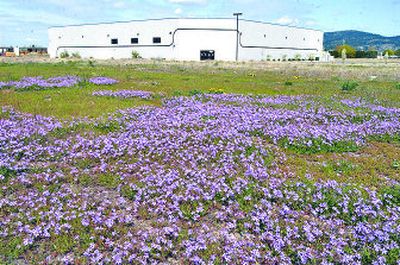 
The Sports USA complex opened in Liberty Lake in 2004 and closed two years later because of financial troubles.  
 (J. BART RAYNIAK / The Spokesman-Review)