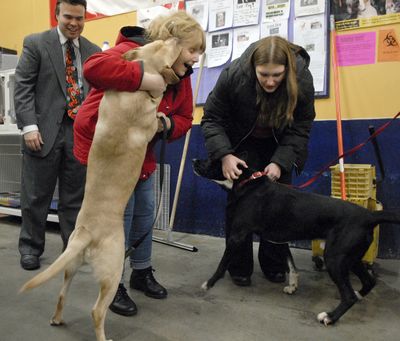 Patty Schoendorf, center, shown in a November 2007 photo, is the plaintiff in a lawsuit challenging the constitutionality of animal control laws used by Spokane and Spokane County. (File / The Spokesman-Review)