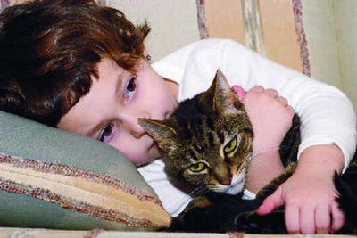 
Make sure your cat or dog has access to its favorite hiding place and let it stay there until the storm's over. 
 (File Photo / The Spokesman-Review)