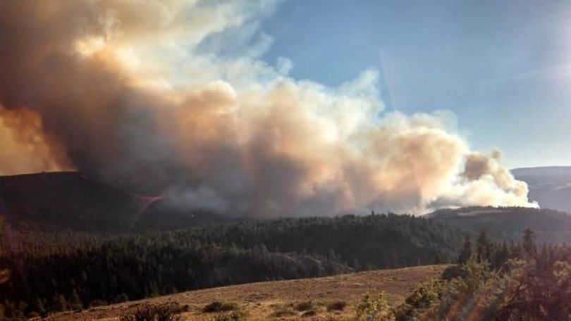 Nearly a dozen fires were burning in the Northwest on Aug. 6, 2013, having charred more than 164,000 acres. (Washington Incident Management Team)