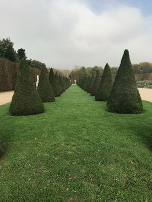 One of many lush sights in the Garden of Versailles. (Gary Graham / World traveler)