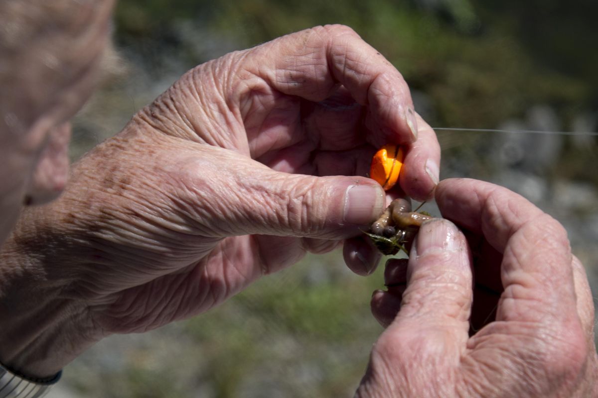 Brookdale Senior Living resident Bob Stevens baits his fishing hook with a worm Thursday at West Medical Lake. (Colin Mulvany / The Spokesman-Review)