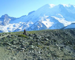The Burroughs Mountain trail in the Sunrise area gives close-up views of Mount Rainier. (Kristin Jackson/Seattle Times/MCT)