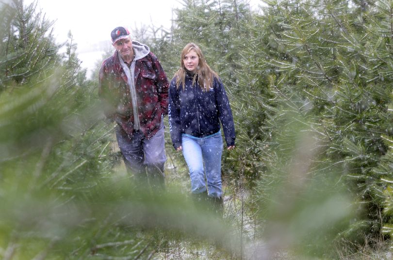 Hutton  tree farm manager Ericka Clement and natural resources consultant Don Hyslop inspect  U-cut Christmas trees.   (J. BART RAYNIAK)