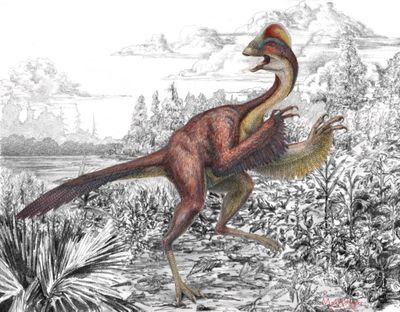 This illustration provided by the Carnegie Museum of Natural History on March 18, 2014 shows the dinosaur Anzu wyliei. The birdlike animal, about 7 feet tall, weighed an estimated 500 pounds when it roamed western North America around 66-68 million years ago. Nicknamed the 