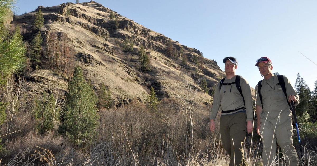 Forest Service says new game plans are nearly ready for region’s forests