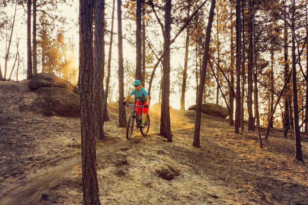 Beacon Hill, a popular mountain biking area just minutes from downtown Spokane, has long been used by the public, even though many of the trails are on private property. Now, city and county leaders are hoping to purchase much of that land. (Jane Patten / COURTESY)