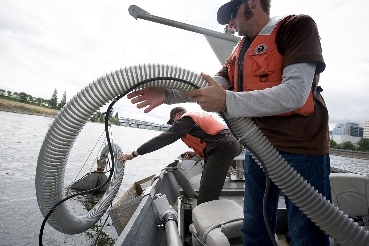 U.S. Fish and Wildlife biologists Howard Schaller, left, and Brian Davis lower a bell containing stainless steel plates in an attempt to capture juvenile lamprey  in the Willamette River, in Portland. Associated Press photos (Associated Press photos / The Spokesman-Review)
