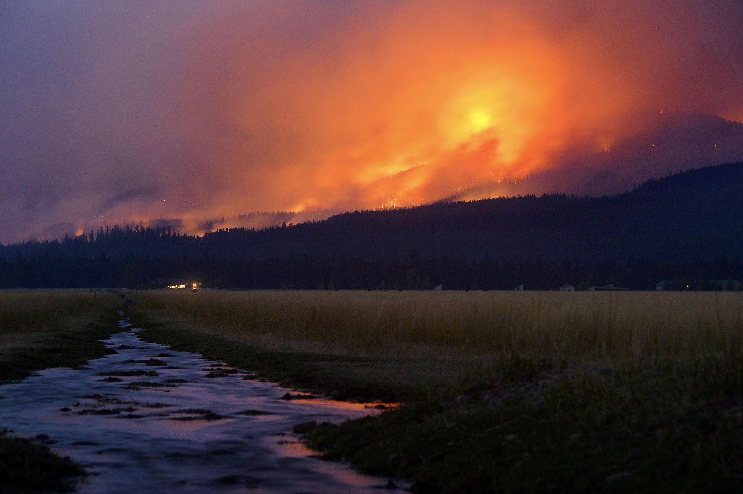 Forest service team to oversee postfire salvage, reforestation in