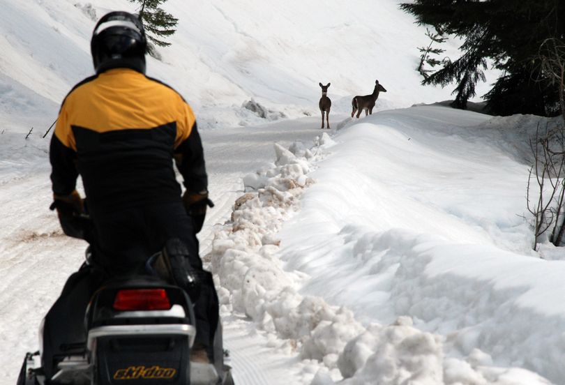 Snowmobilers share groomed trails with recreationists on foot and sometimes wildlife. (FILE)