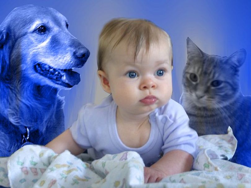 New health research is showing that pets in the house can have benefits to babies.  (MCT Direct)